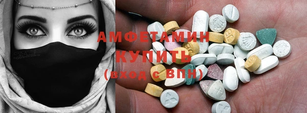 стаф Новодвинск