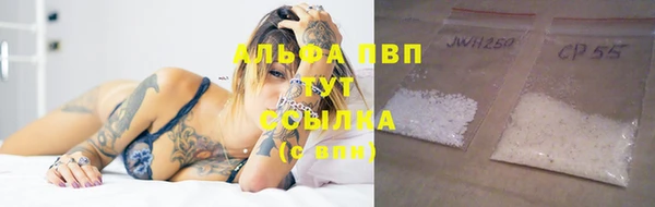 таблы Новозыбков