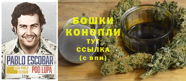 стаф Новодвинск