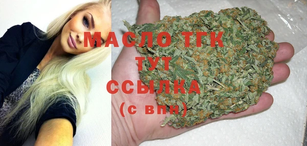 стаф Новодвинск