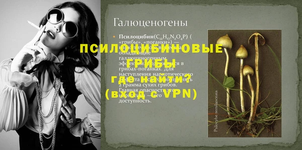 стаф Новодвинск