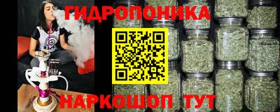 mdpv Дубна