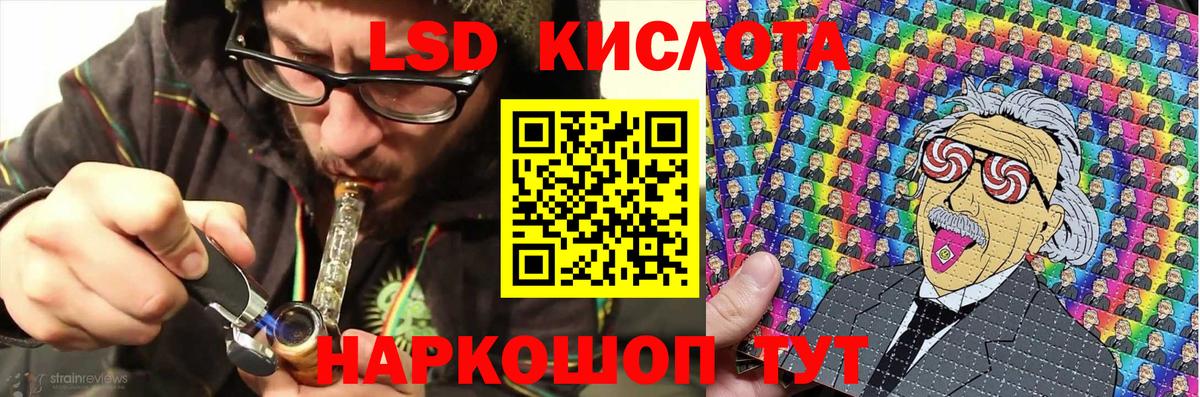 Псилоцибиновые грибы Кандалакша