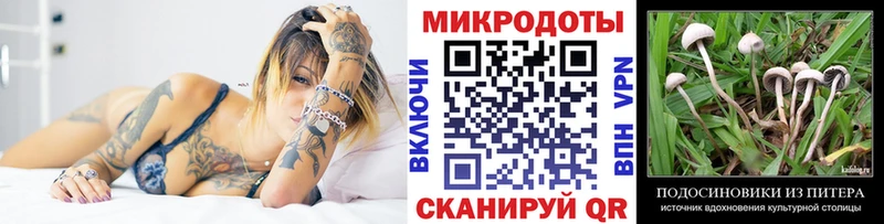 Галлюциногенные грибы GOLDEN TEACHER  Кандалакша 