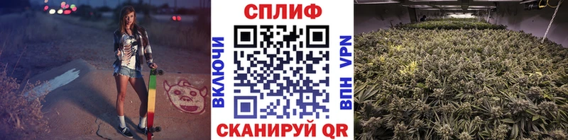 Каннабис THC 21%  закладка  Кандалакша 